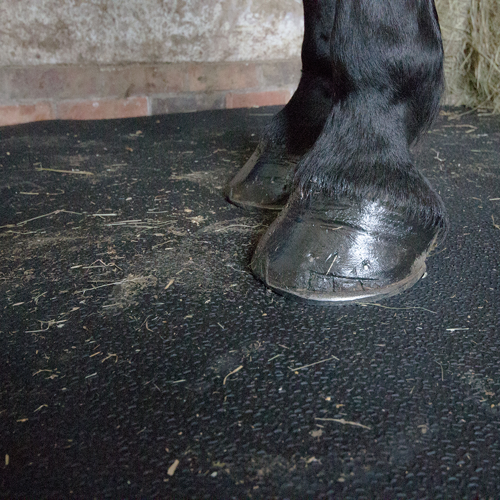 Tappetino per sale pesi