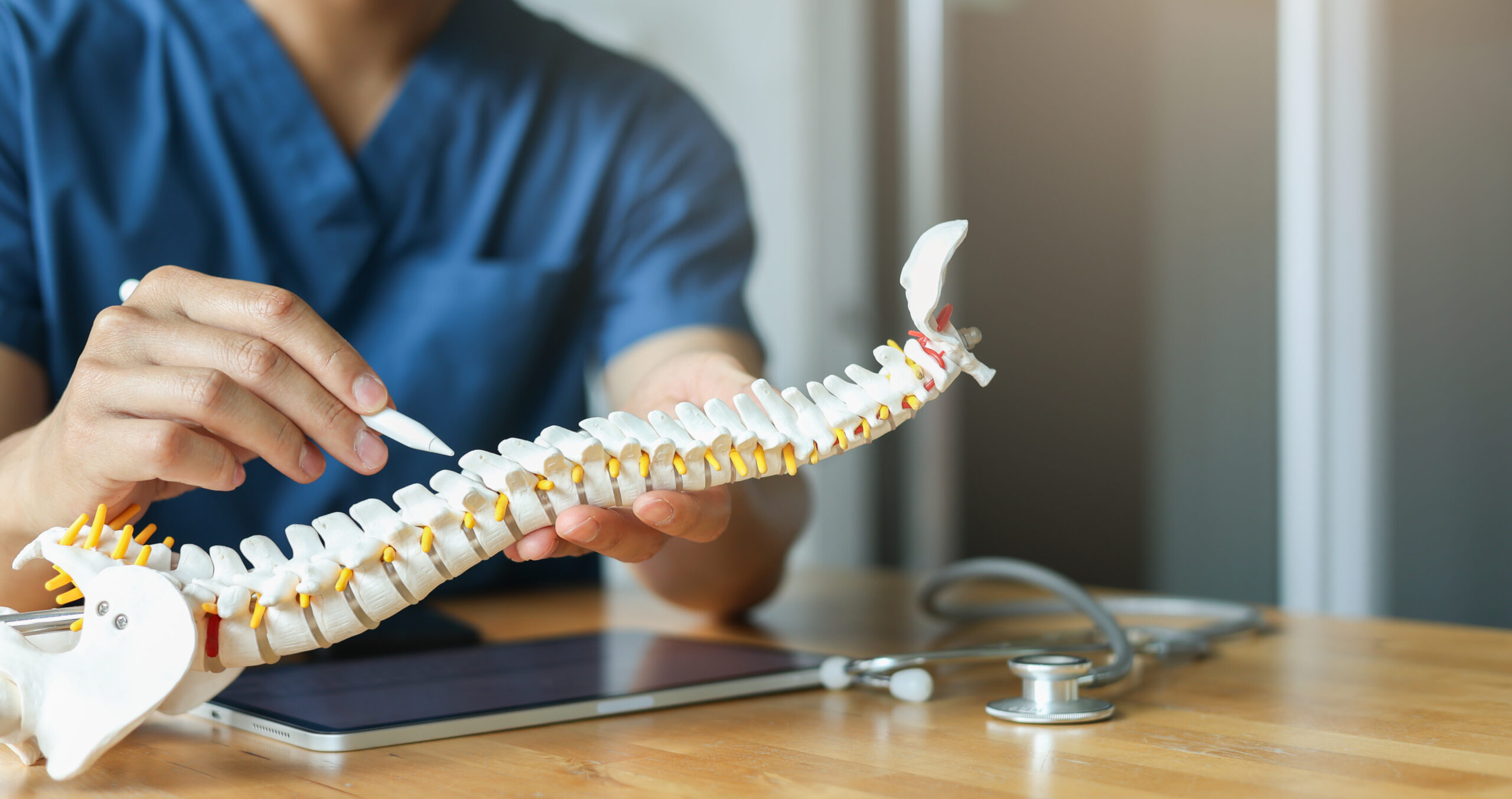 Doctor demonstrating spinal health 