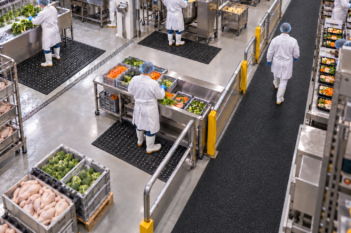 Food production facility showing different matting solutions across wet, processing and walkway areas.