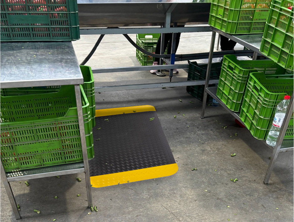 Deckplate anti-fatigue mat installed at a vegetable processing workstation at CAMPJOYMA.