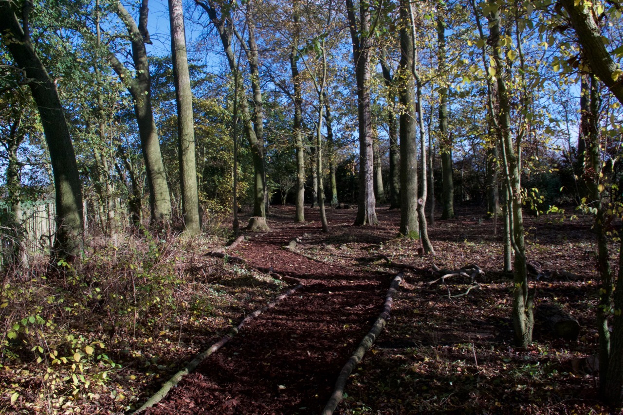 Fleckney Spinney Volunteering Path