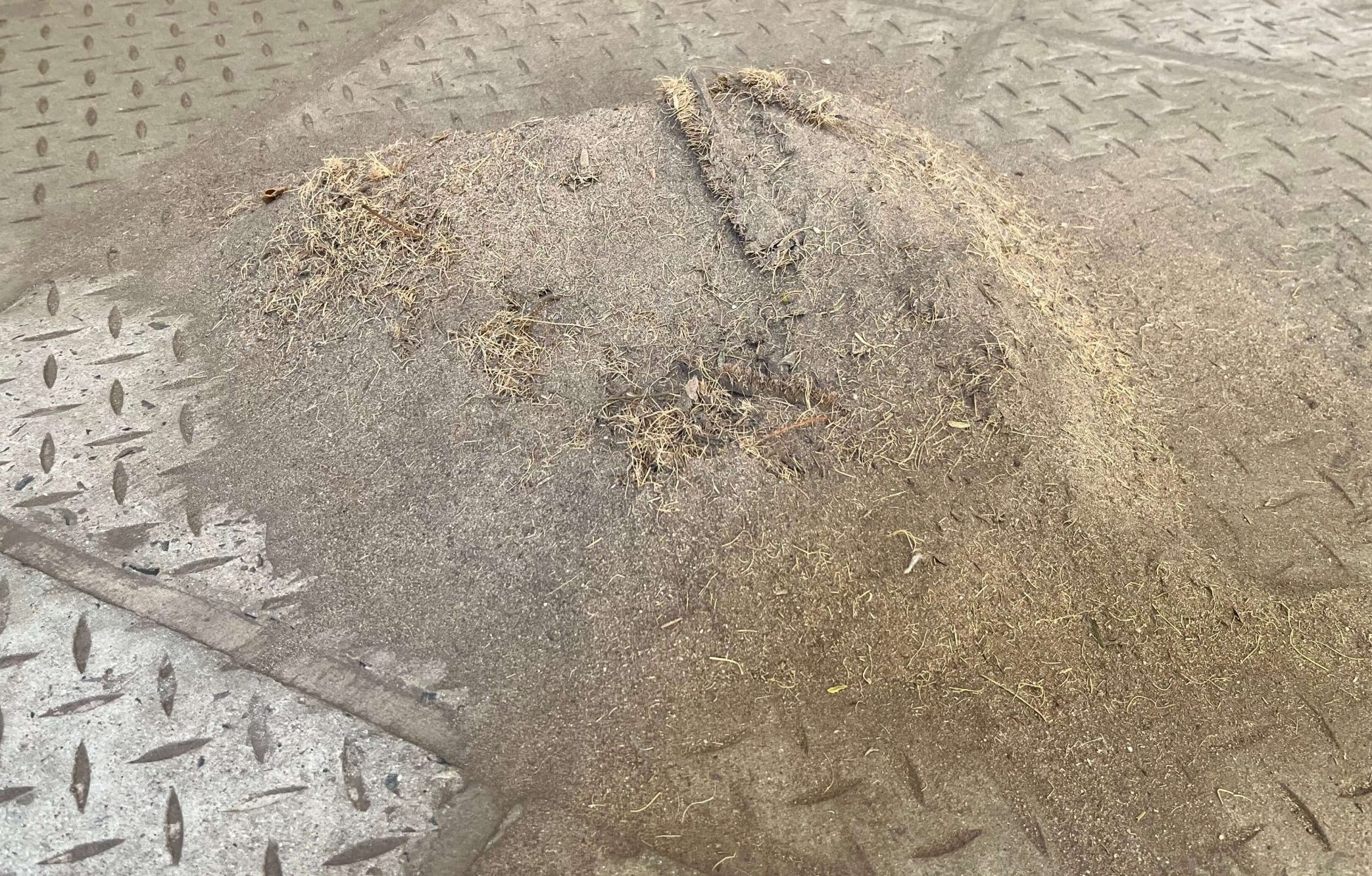 Dirt captured from Entrance matting