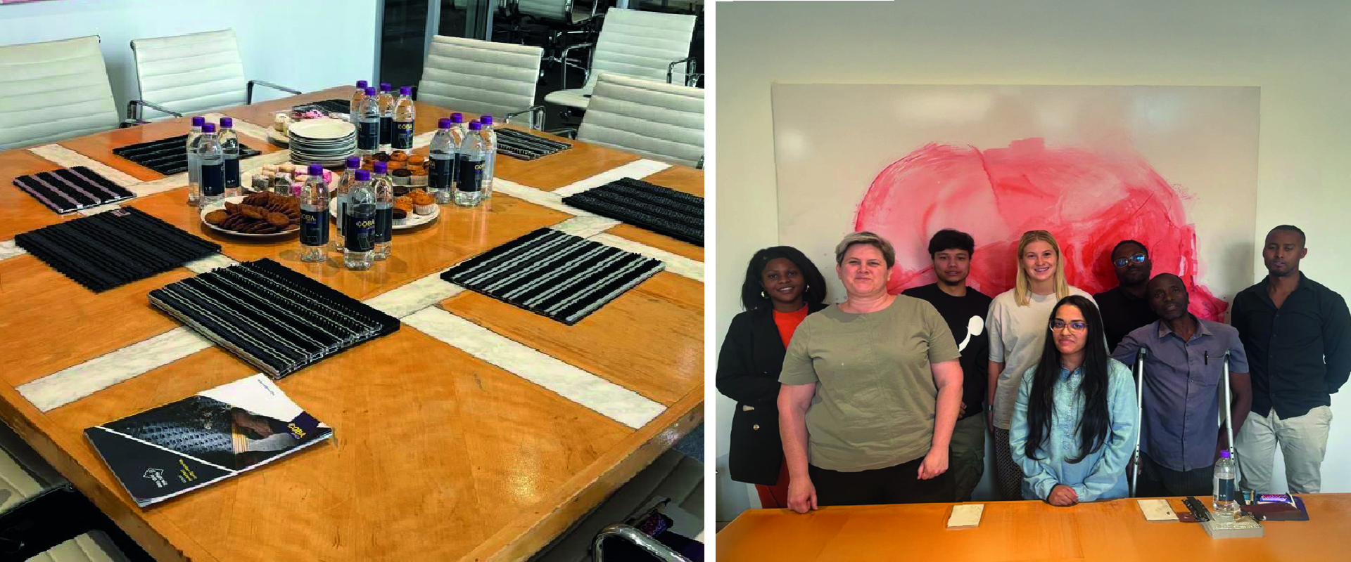 COBA Africa Introduces a Wide Range of Quality Entrance Matting Systems to GLH Architects.
