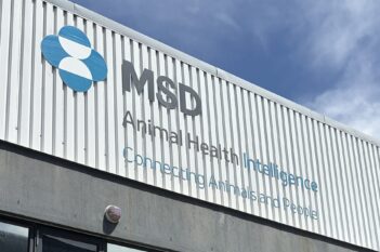 Exterior of the MSD Animal Health Intelligence building, featuring the company’s blue and white logo and “Connecting Animals and People” signage above large glass windows and metal railings under a blue sky.